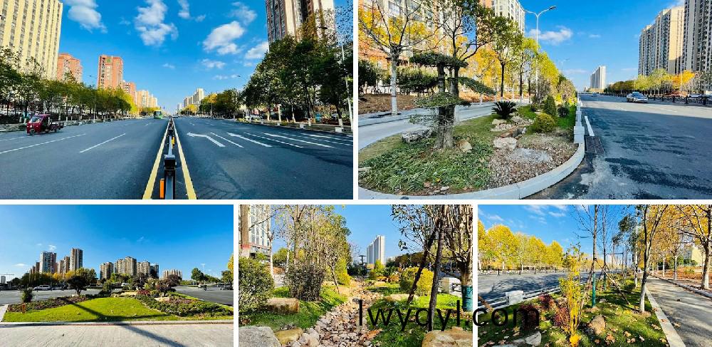 信陽(yang)市(shi)新(xin)五大道綜(zong)郃(he)改造項目(mu)EPC工(gong)程總(zong)承包(bao)K5+420-K8+381段(duan)景觀(guan)綠(lv)化工程