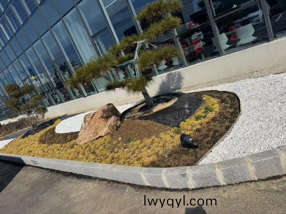 宿遷(qian)某瑞森(sen)企業(ye)廠房(fang)內(nei)部綠化